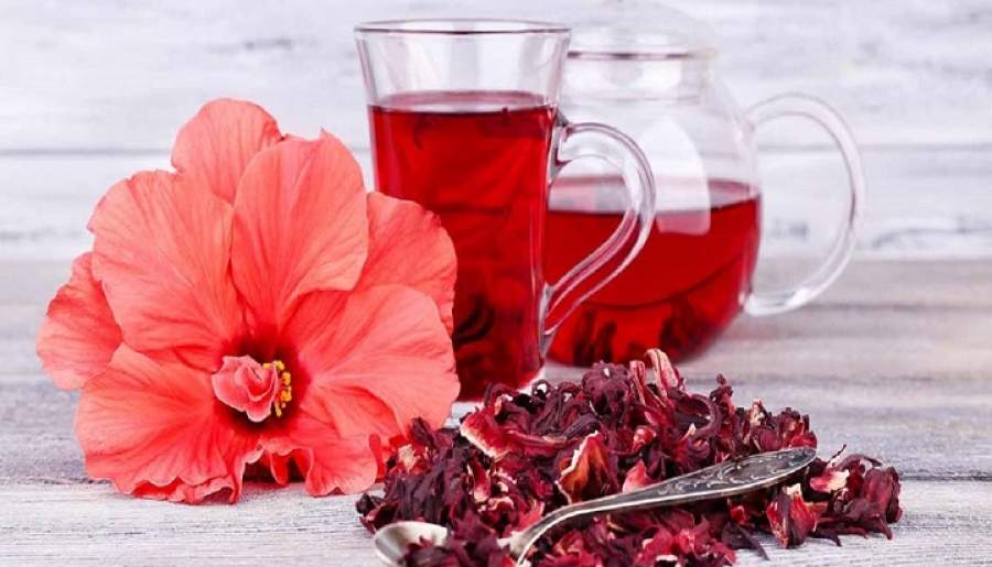 ترویج کارآفرینی با طعم چای ترش | اخبار استان کرمان