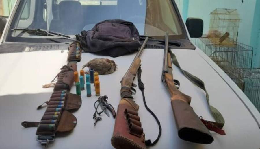 دستگیری شکارچی پرندگان وحشی در رودبار جنوب | اخبار استان کرمان