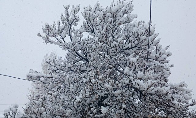 بارش نخستین برف پاییزی در گدار کفنوئیه محور بافت | خبر کرمان