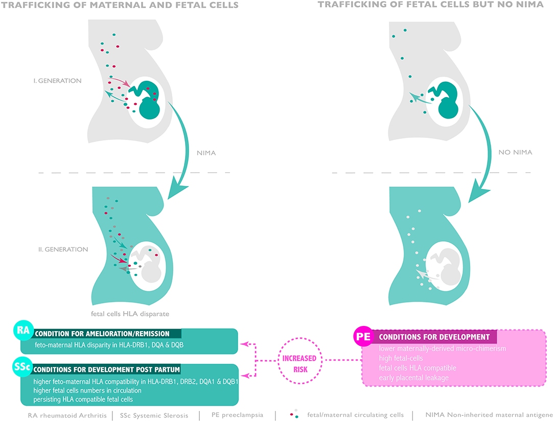 زاکانی: جنگ را از تهران دور می‌دیدیم!/ در حال ساخت پارکینگ‌ و فراهم کردن آژیر در شهر هستیم(فیلم)