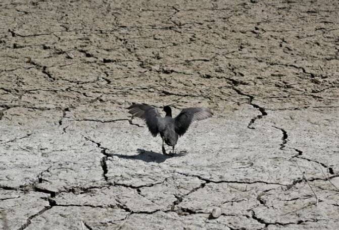 خشکسالی چگونه منازعات هیدروپلیتیک را در پیرامون ایران تشدید کرده است؟