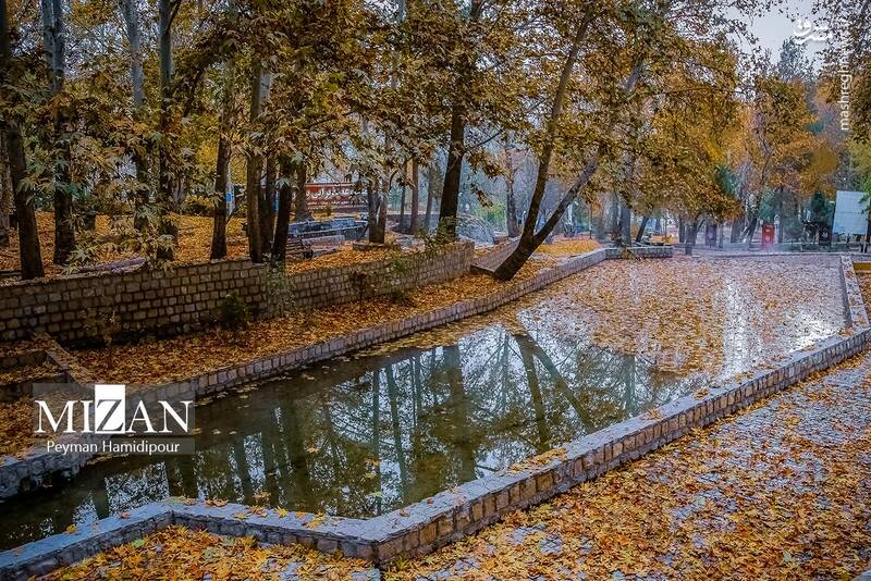 عکس/ طبیعت پاییزی در پارک بابا امان بجنورد