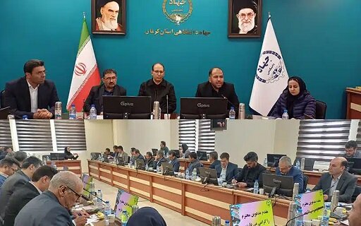 بررسی اولویت‌های سرمایه‌گذاری صنعتی و تولیدات کارگاهی توسط جهاددانشگاهی استان کرمان | اخبار کرمان و شهرستان ها