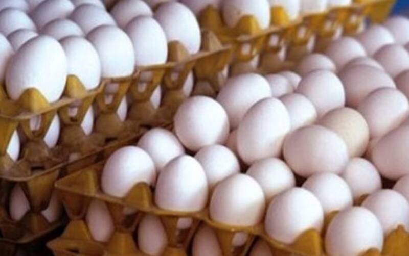 قیمت هر شانه تخم مرغ به کمتر از ۴۰۰ هزار تومان رسید