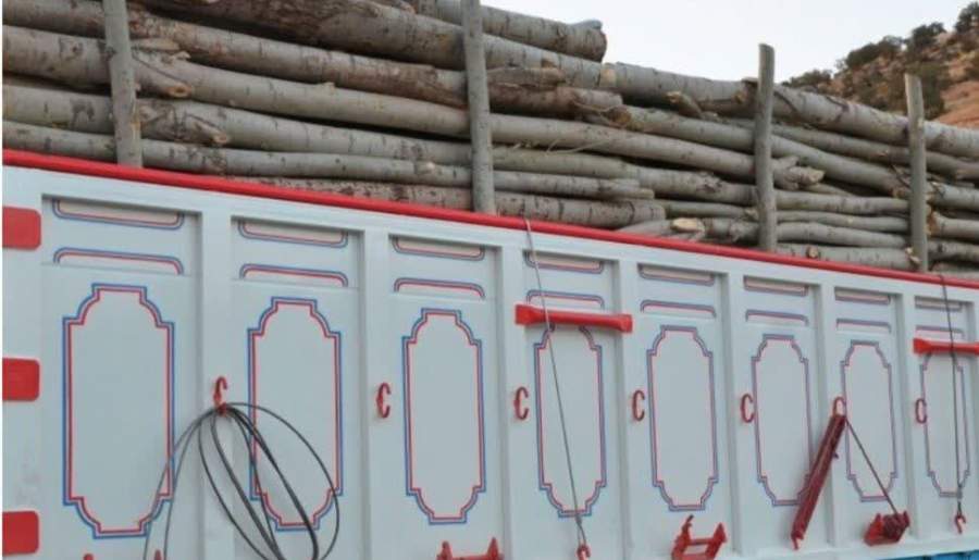 کشف بیش از ۳ تن چوب قاچاق در فاریاب | اخبار استان کرمان