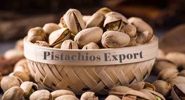 پیش‌بینی ارزآوری ۴۰۰ میلیون دلاری پسته رفسنجان برای کشور | اخبار کرمان و شهرستان ها