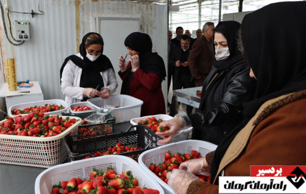 افتتاح ۲ طرح حوزه کشاورزی در بردسیر | اخبار استان کرمان