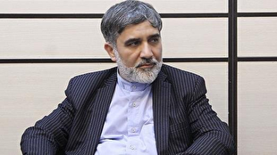 قتل ۴ هزار کودک در غزه تنها یک صفحه از جنایات اسرائیل است | خبر کرمان