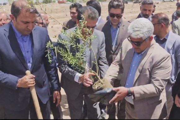 کاشت ۱۶۸ نهال شجره طیبه در سیرجان | اخبار سیرجان