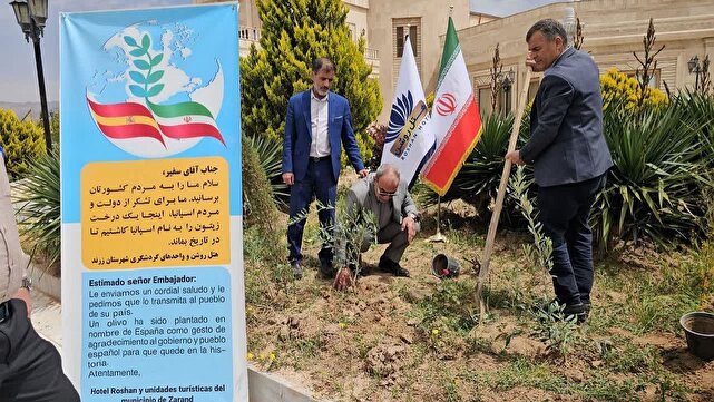 اقامت رایگان برای گردشگران اسپانیایی / کاشت درختی با نام اسپانیا درهتل زرند | خبر کرمان