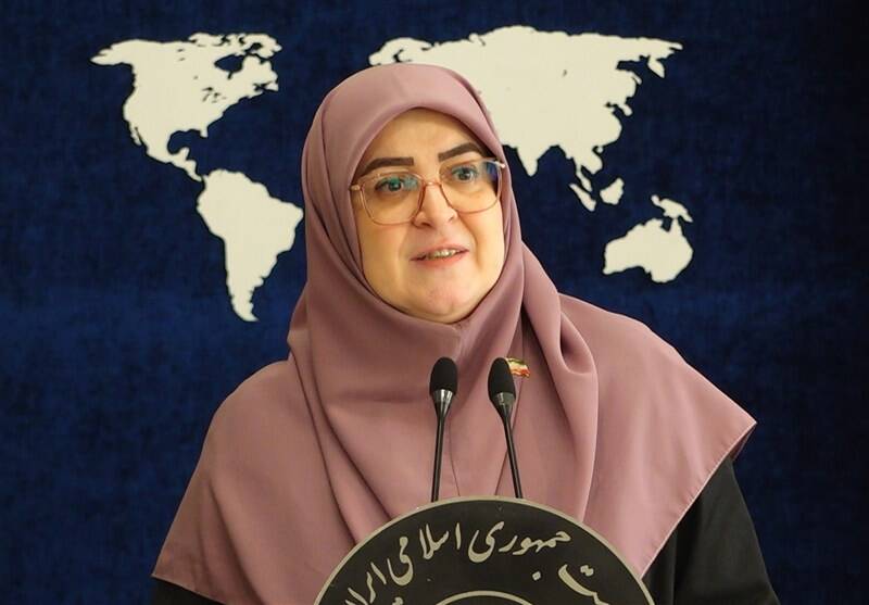 فیلم/ جزئیات اجرای طرح کارت امید مادران از زبان مهاجرانی