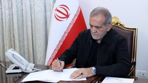 پزشکیان چه زمانی می‌تواند گرانی را کنترل کند؟/ یارانه اعطایی دولت اینگونه غارت می‌شود