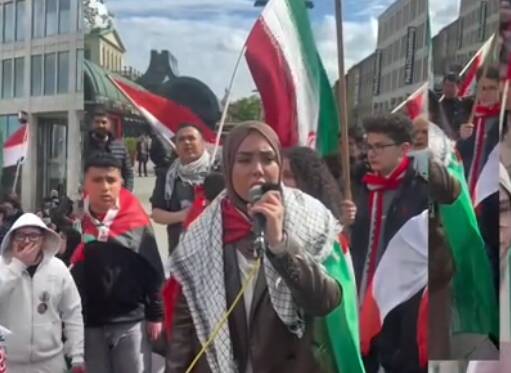 فیلم/ تجمع وطن پرستان ایرانی در هانوفر آلمان
