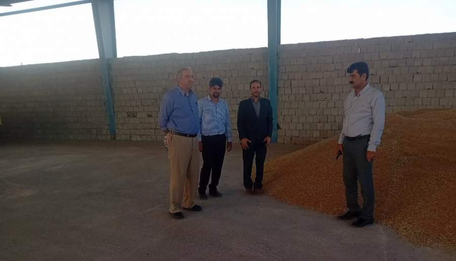 خرید تضمینی گندم در تعاونی روستایی رودبار جنوب