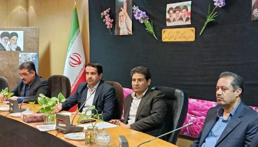 اتخاذ تصمیمات جدید برای ساماندهی بازار مرغ | اخبار استان کرمان