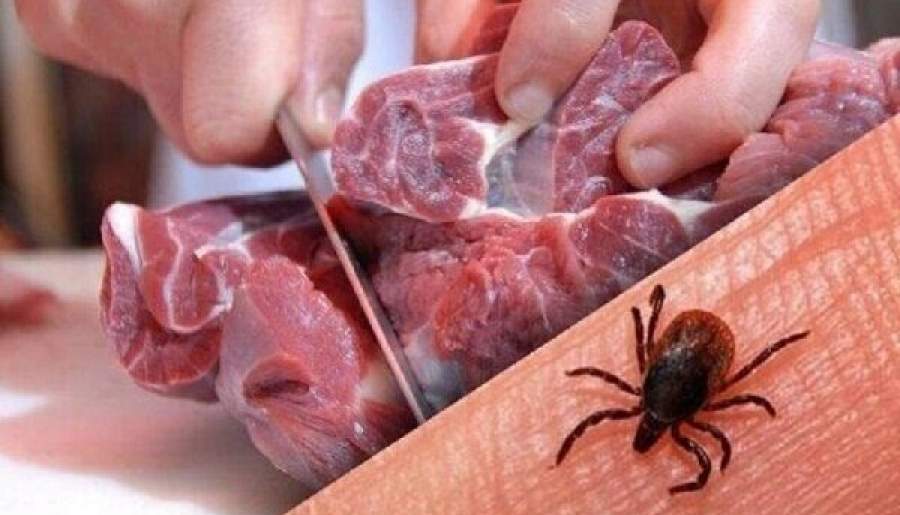 احتمال شیوع تب کریمه کنگو در فصل گرما | اخبار استان کرمان
