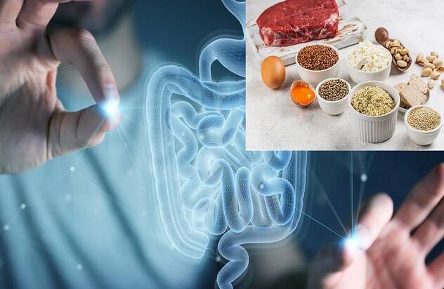 تاثیر شگفت‌آور یک ماده موجود در غذاهای پروتئینی‌ بر ترمیم روده