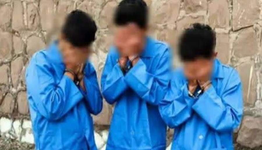 انهدام باند ۳ نفره سارق در شهرستان انار | اخبار استان کرمان