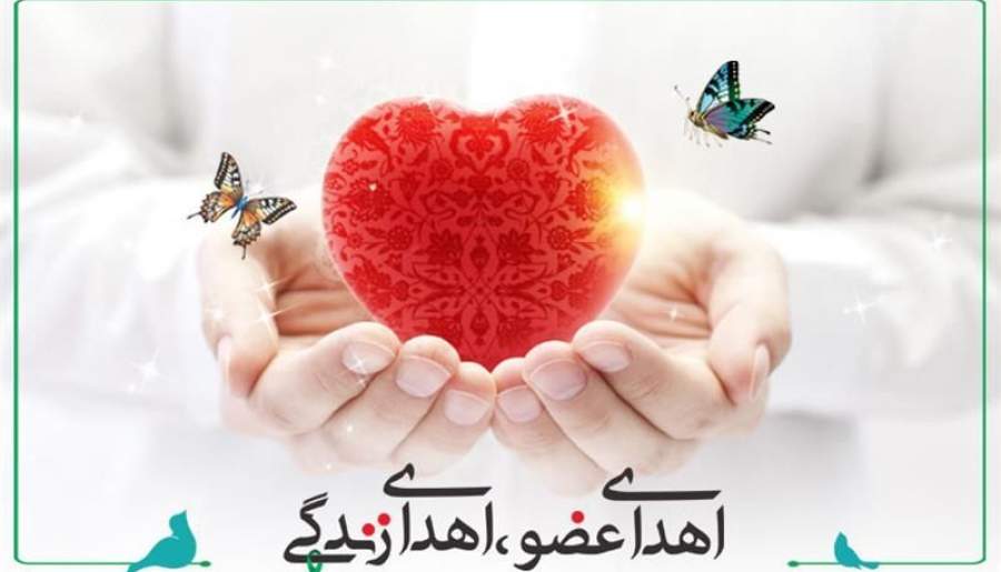 اهدا عضو؛ اهدای زندگی، تداوم انسانیت | اخبار استان کرمان