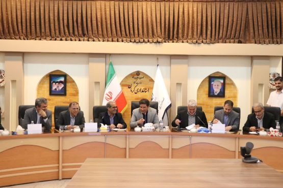 برنامه‌ریزی برای تأمین پایدار اسید سولفوریک صنایع و کشاورزی رفسنجان | اخبار رفسنجان