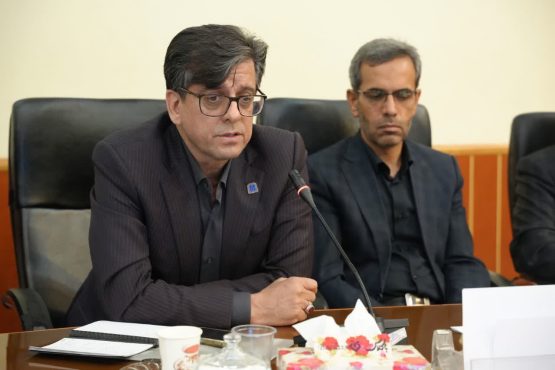 رئیس دانشگاه علوم پزشکی رفسنجان در قرارگاه سلامت استان:تاکید بر لزوم فرهنگ‌سازی همگانی و همراهی بیمه‌های پایه برای نهادینه‌سازی طرح پزشکی خانواده و نظام ارجاع | اخبار رفسنجان