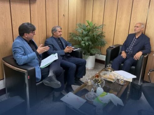 اختصاص آمبولانس جدید و تأمین اعتبار ۶۸ میلیاردی دانشگاه؛ دستاوردهای دیدار انارکی‌محمدی با مسئولان ارشد وزارت بهداشت | اخبار رفسنجان