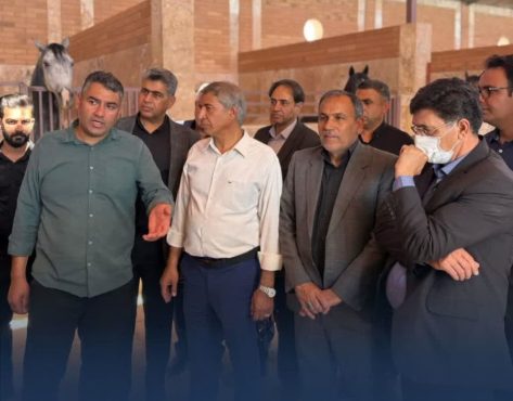 تأکید انارکی‌محمدی بر توسعه زیرساخت‌های گردشگری رفسنجان همزمان با افتتاح “ستارگان” و بازدید از پروژه ورزشی “تندیس نور” | اخبار رفسنجان